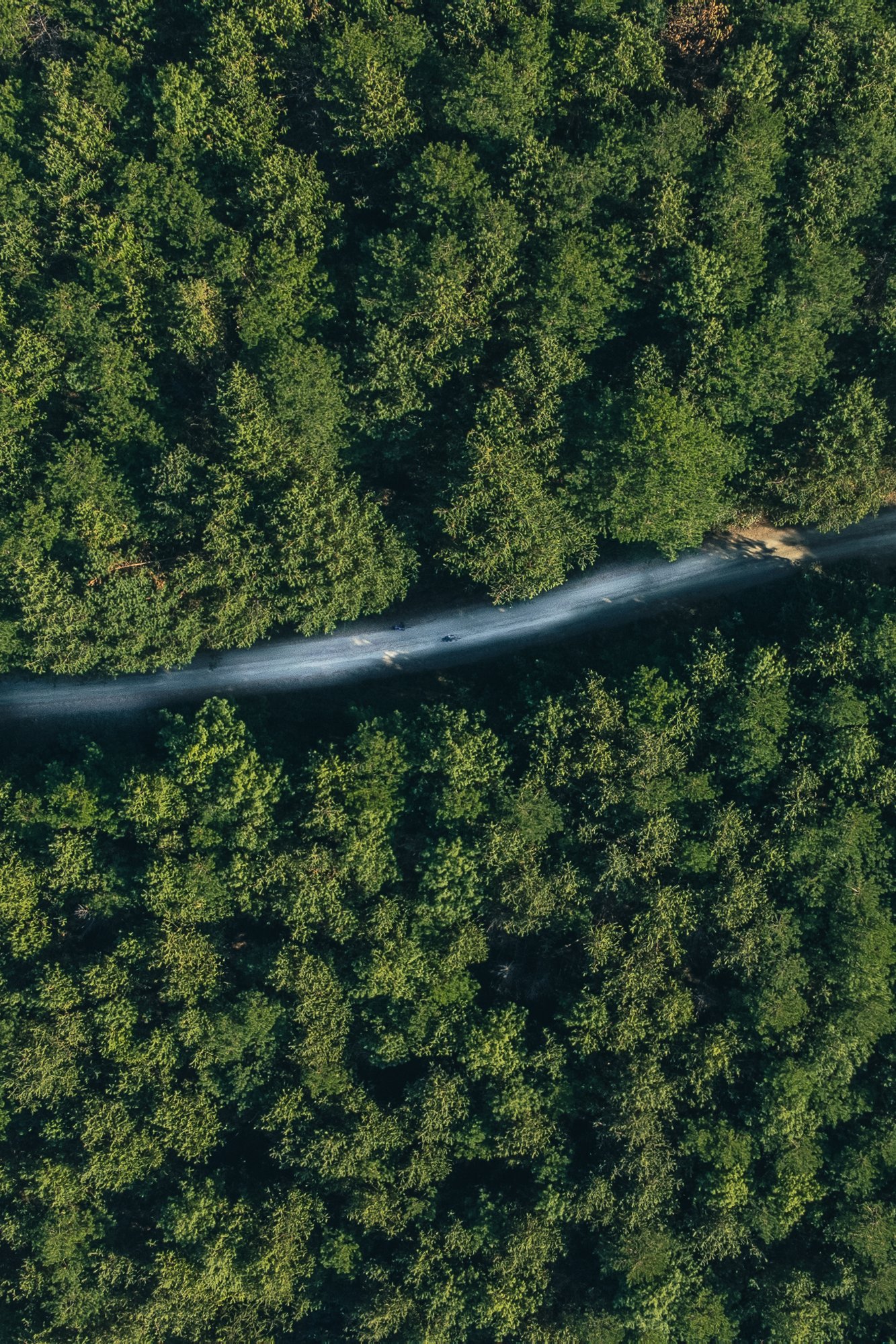 DJI_0056 (3)
