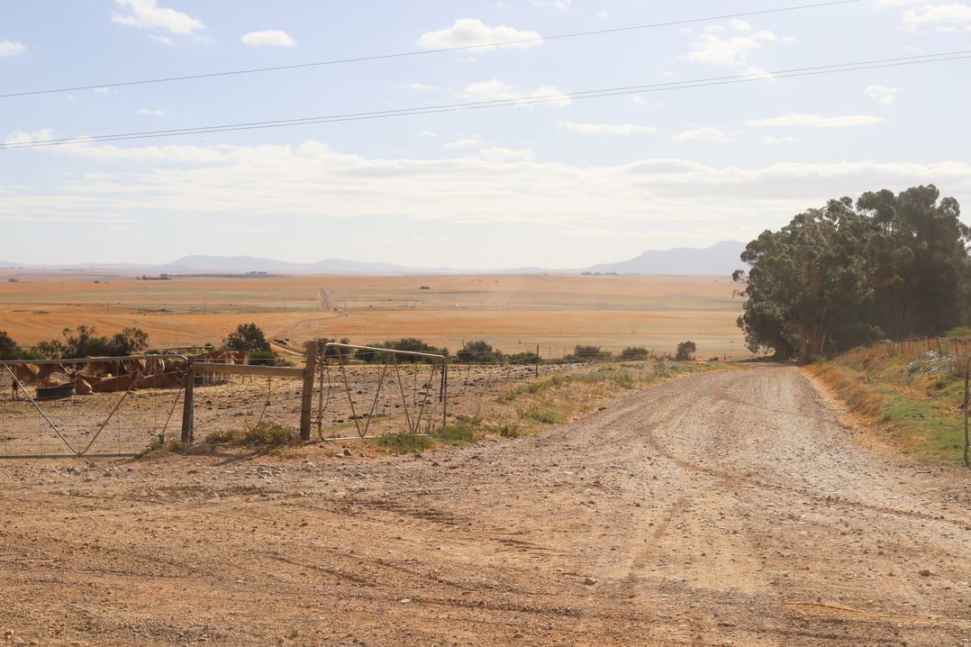 A Dusty Gravel Trail