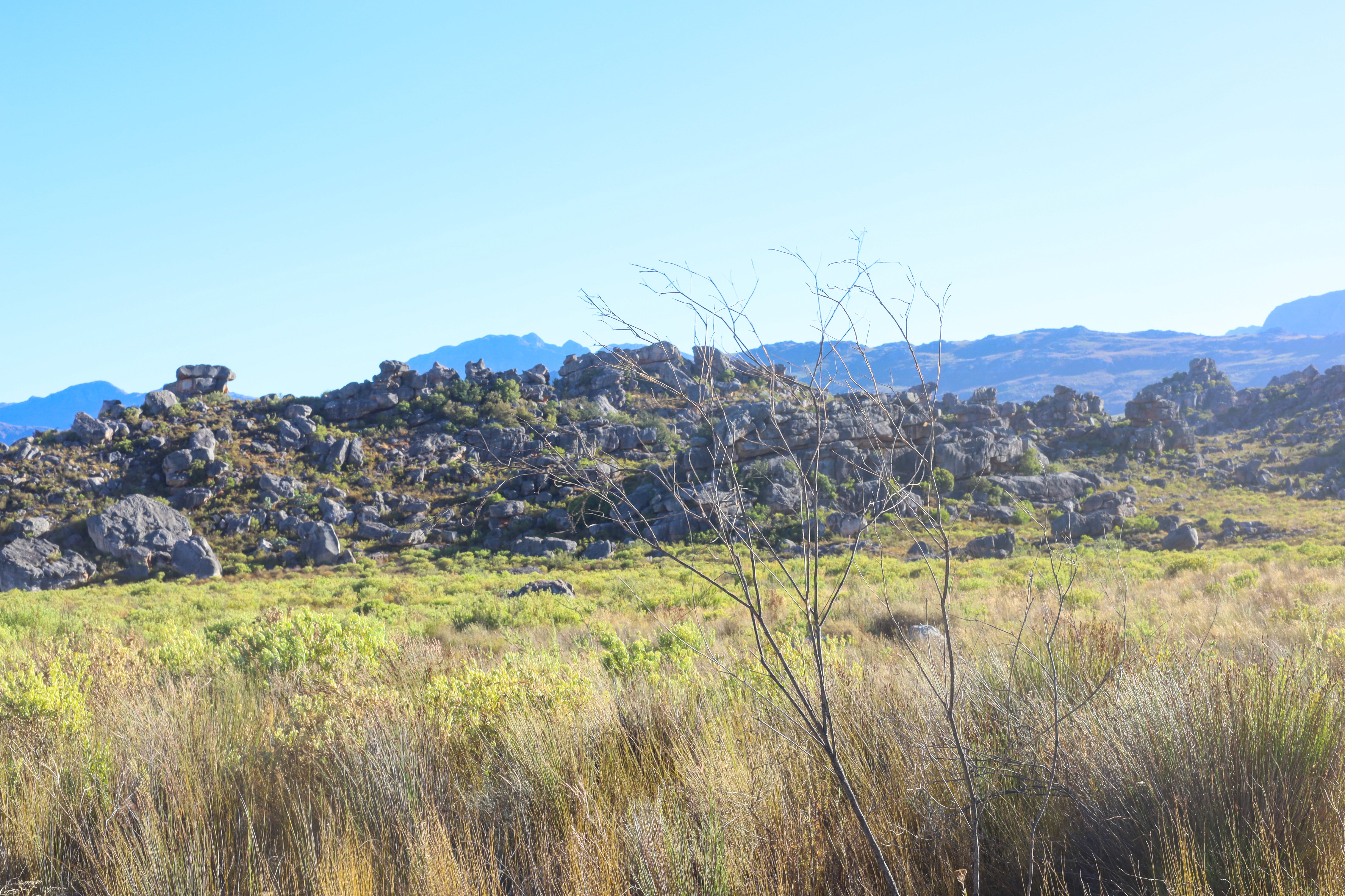 A rocky field off the road.