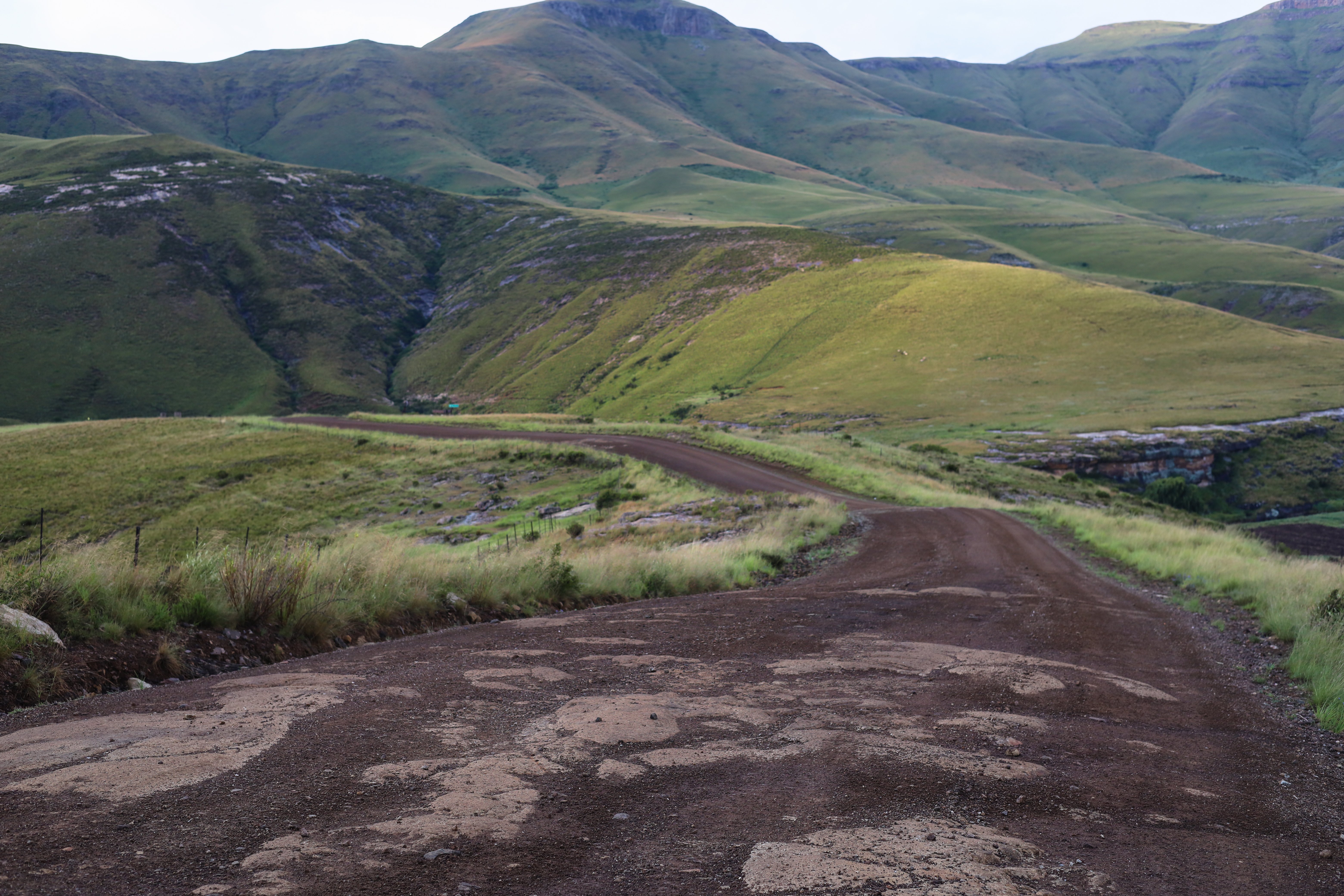A brown gravel road.